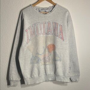 Gray Indiana Basketball Graphic Men's Sweater